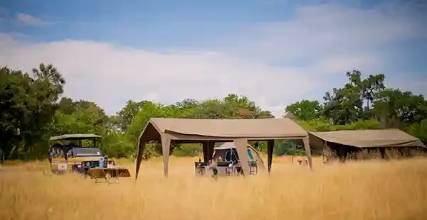 Roy_Safaris-Gal-81