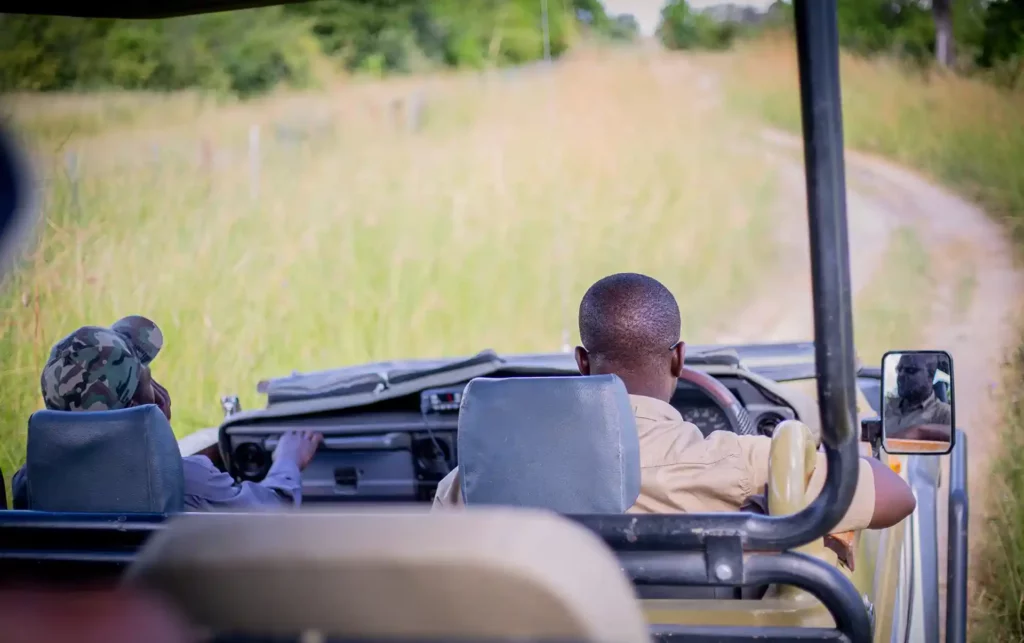 Roy_Safaris-Hero-09