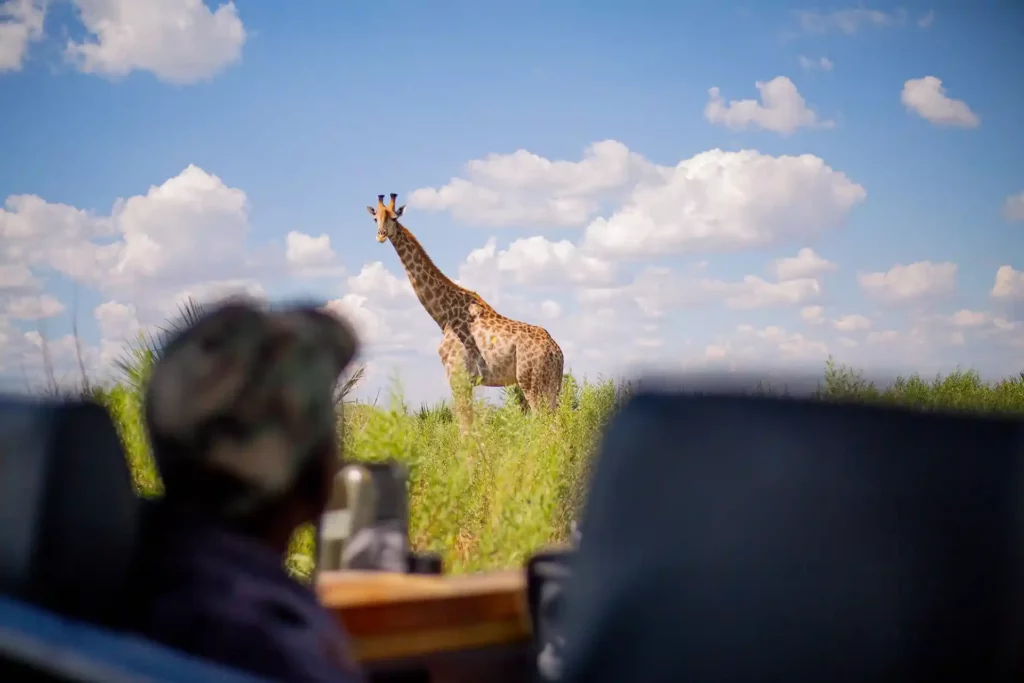 Roy_Safaris-Hero-18